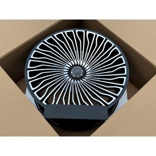 Kaltie diski OEM R24 V1 (4 gab.) foto 2