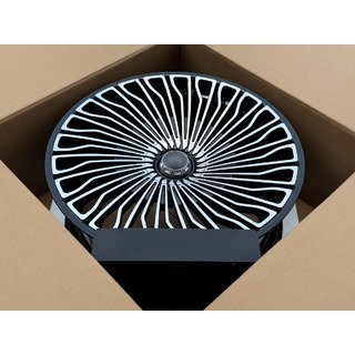 Kaltie diski OEM R24 V1 (4 gab.) foto 3
