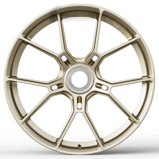 Kaltie diski OEM R20 R21 V42 (4 gab.) foto 2