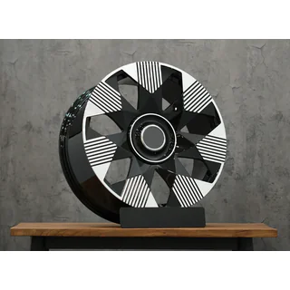 Kaltie diski OEM R22 V1 (4 gab.)