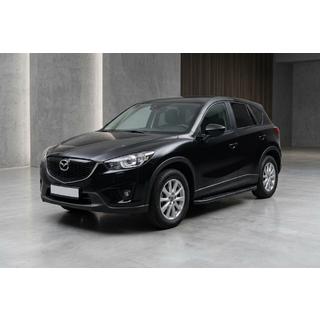 Sānu pakāpieni Bosphorus Black (2 gab., alumīnijs) foto 1