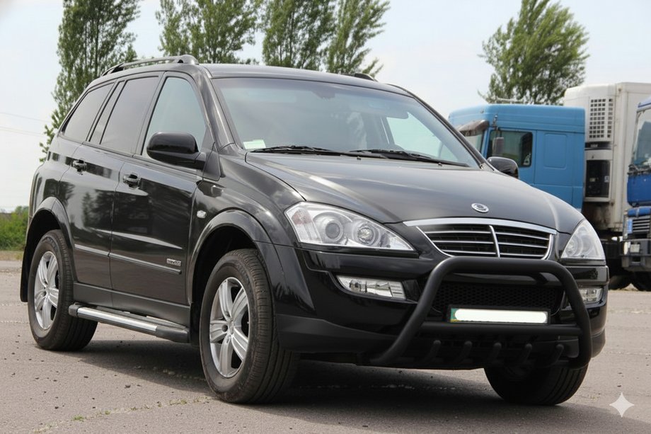 SsangYong Action 2005–2018 Bullbar WT003 Black (nerūsējošais tērauds) Image