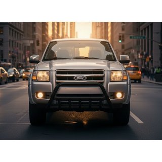 Bullbar WT003 Black (nerūsējošais tērauds) foto 3