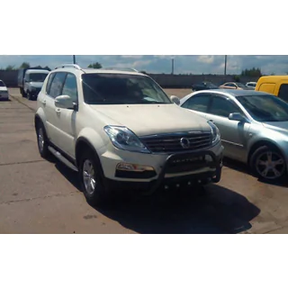 Kengurina stienis WT004 Black (nerūsējošais tērauds) SsangYong Rexton I 2001–2017 foto 3