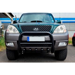 Bullbar WT003 Black (nerūsējošais tērauds) foto 1