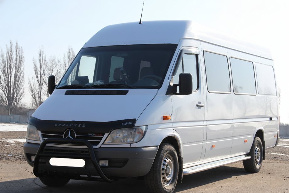 Mercedes Sprinter W901/902/903/904/905 1995–2006 Bullbārs WT003 Black (nerūsējošais tērauds) 2000–2006 Image