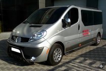 Opel Vivaro 2001–2015 Bullbārs WT003 Black (nerūsējošais tērauds) foto 2