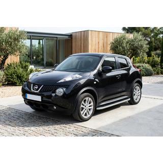 Sānu pakāpieni Tayga Grey (2 gab., alumīnijs) foto 1