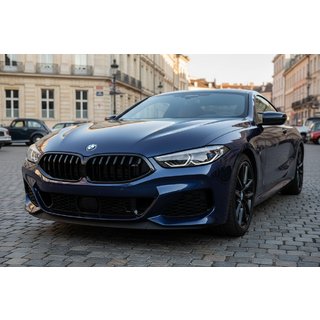 Nieru režģis 1-Bar (2018-2022, melns spīdīgs) BMW 8. sērija G14/G15/G16 2018– foto 1
