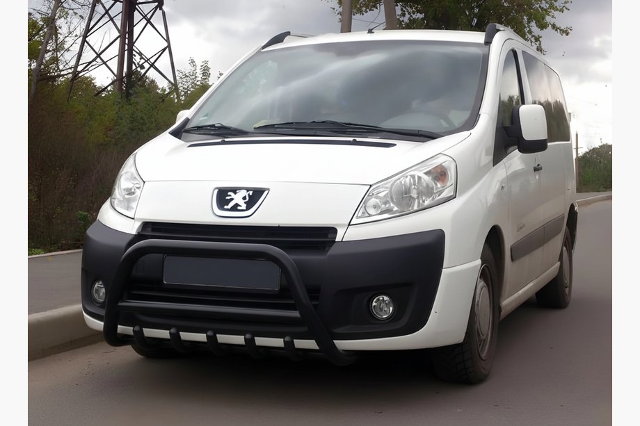 Citroen Jumpy 2007–2017 Bullbar WT003 Black (nerūsējošais tērauds) Image