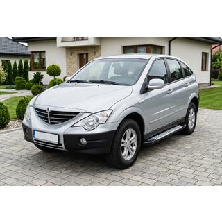 Sānu pakāpieni Allmond Grey (2 gab., alumīnijs)