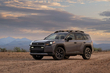 Toyota RAV4 Woodland apskats: piedzīvojumu krosovers ar hibrīdu foto 1