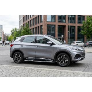 Sānu pakāpieni Tayga V2 (2 gab., alumīnijs) foto 1