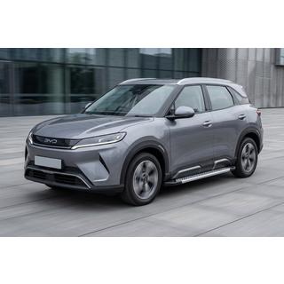 Sānu pakāpieni Vision New Grey (2 gab., alumīnijs) BYD Atto 2/Yuan Up 2024– foto 1