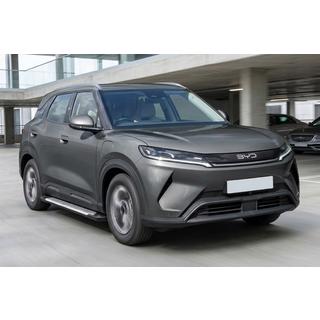 Sānu sliekšņi Line (2 gab., alumīnijs) BYD Atto 2/Yuan Up 2024– foto 1