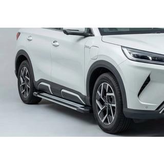 Sānu pakāpieni Rainbow (2 gab., alumīnijs) BYD Atto 2/Yuan Up 2024– foto 1