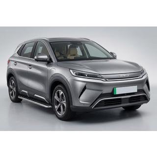 Sānu pakāpieni Maydos V1 (2 gab., alumīnijs ↗ nerūsējošais tērauds) BYD Atto 2/Yuan Up 2024– foto 1