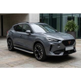 Sānu sliekšņi Tayga Grey (2 gab., alumīnijs) foto 1