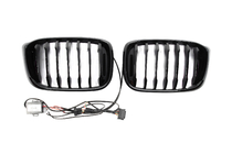 BMW X4 G02 2018– Nieru reste 1 Bar LED (2018-2021, spīdīgi melna) foto 6