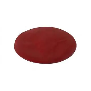 Aizmugurējā emblēma bez stikla V5 (17 cm × 12,5 cm) foto 2