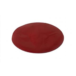 Priekšējā emblēma bez stikla V4 (15,7 cm × 11 cm) foto 2