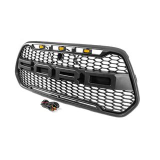Radiatora reste 2013-2018 (OffRoad) Ford Custom 2013–2022 foto 2