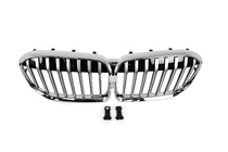 BMW 7. sērija G11/G12 2015–2022 Nieru režģis 1 Bar (2019-2022, Chrome) foto 2