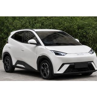 OEM jumta reliņi, melni (ABS plastmasa, uzstādīšana ar līmi)
