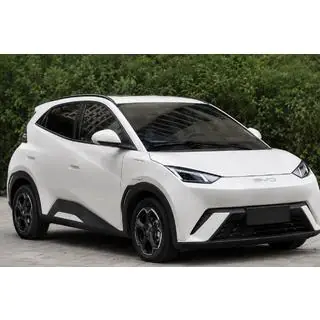 OEM jumta reliņi, melni (ABS plastmasa, uzstādīšana ar līmi) BYD Dolphin 2025–