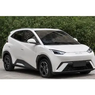OEM jumta reliņi, pelēki (ABS plastmasa, uzstādīšana ar līmi) BYD Dolphin 2025–