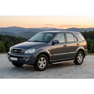 Sānu pakāpieni BlackLine (2 gab., alumīnijs) foto 1