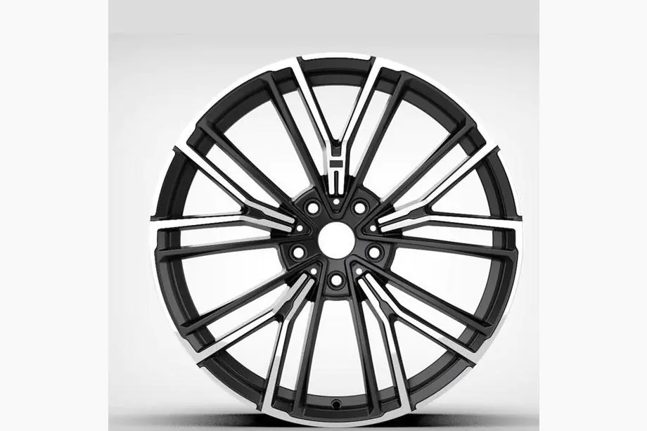 BMW Kaltie diski DH-Style V17 R21 Image