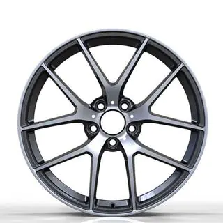 Kaltie diski DH-Style V20 R22