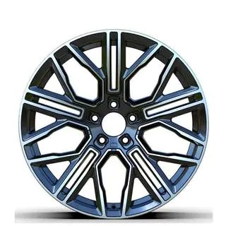 Kaltie diski DH-Style V21 R24