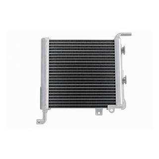Kreisais sānu radiators