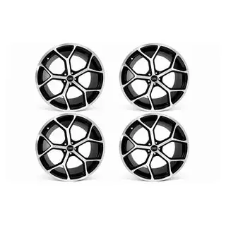 Kaltie diski OEM R22 V4 (4 gab.) foto 1