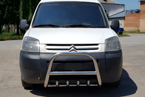 Citroen Berlingo 1996–2008 Kengurins WT003 (nerūsējošais tērauds) foto 1