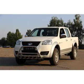 Bullbar WT003 (nerūsējošais tērauds) foto 4