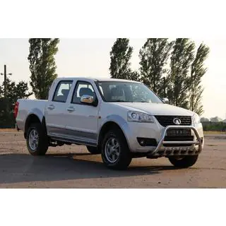 Bullbar WT003 (nerūsējošais tērauds) foto 3