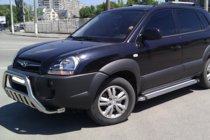 Hyundai Tucson JM 2004– Priekšējais bullbar WT002 (nerūsējošais tērauds) foto 3