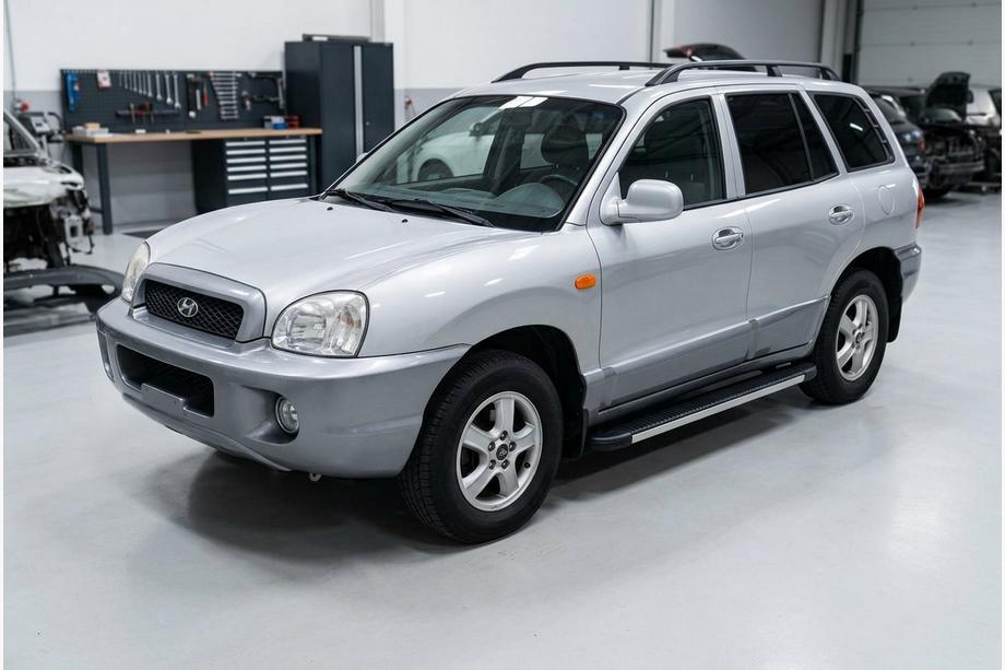 Hyundai Santa Fe 1 2000–2006 Sānu sliekšņi Maya V1 (2 gab., alumīnijs) Image
