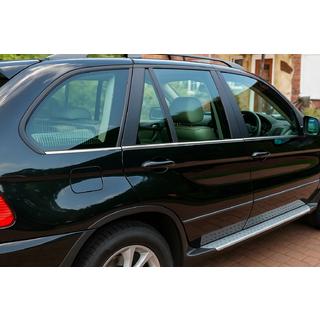 Apakšējās nerūsējošā tērauda moldingi (6 gab.) BMW X5 E53 1999–2006 foto 1