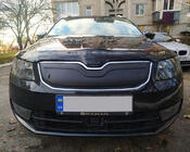Skoda Octavia III A7 2013–2019 Ziemas aizsegs radiatora restei (2013-2017) spīdīgs foto 1