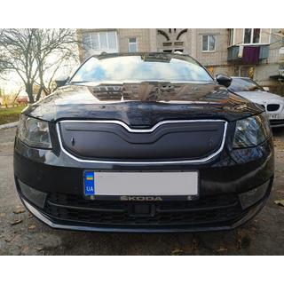 Ziemas aizsegs radiatora restei (2013-2017)