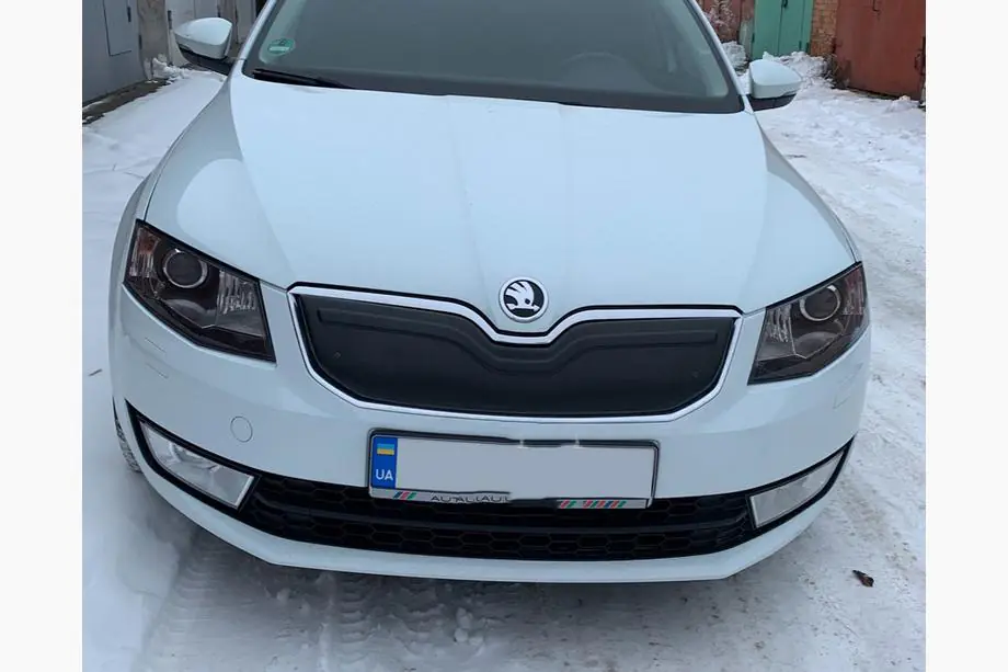 Skoda Octavia III A7 2013–2019 Ziemas aizsegs radiatora restei (2013-2017) Foto 2