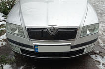 Skoda Octavia II A5 2006–2010 Ziemas pārsegs radiatora restei (augšējais) Glancēta foto 1
