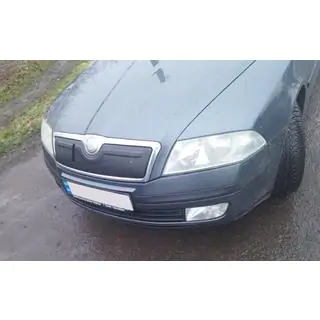 Ziemas pārsegs radiatora restei (augšējais) foto 2