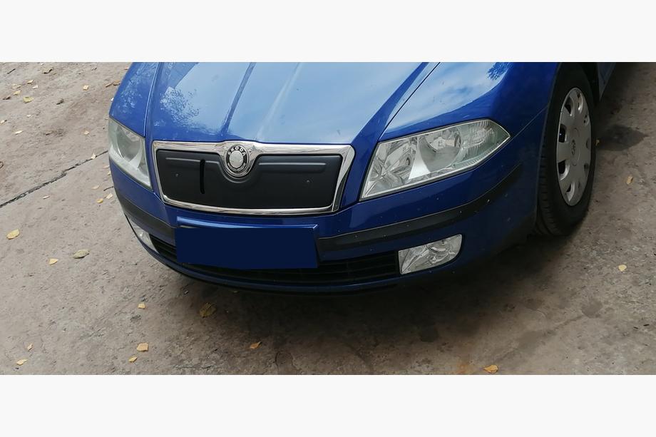 Skoda Octavia II A5 2006–2010 Ziemas pārsegs radiatora restei (augšējais) Matēta Foto 3