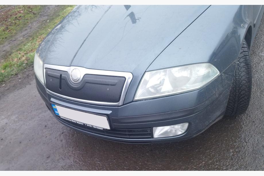 Skoda Octavia II A5 2006–2010 Ziemas pārsegs radiatora restei (augšējais) Matēta Foto 2