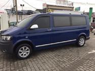 Volkswagen T5 Transporter 2003–2010 Durvju moldingi (nerūsējošais tērauds, hroms) foto 6
